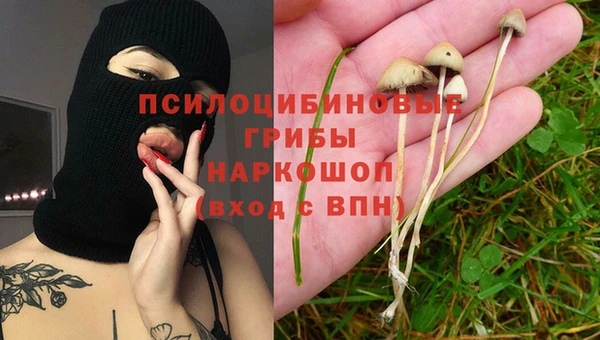 дурь Алексин