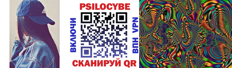 Псилоцибиновые грибы Psilocybe  Шатура 